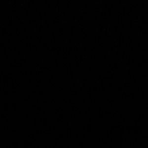 Meet your Posher, Niko